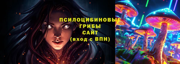 гидропоника Белокуриха