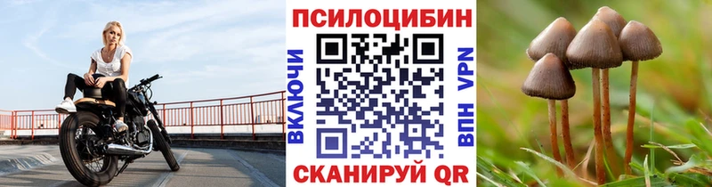 Купить  Семёнов  Псилоцибиновые грибы прущие грибы 